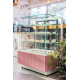 Witryna cukiernicza chłodnicza Dolce Visione Basic 900 BIANCO | 900x670x1300 mm | białe wnętrze